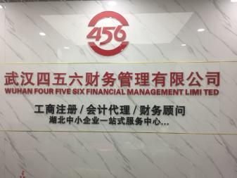 武漢稅務(wù)報(bào)賬咨詢與代理服務(wù)全解析